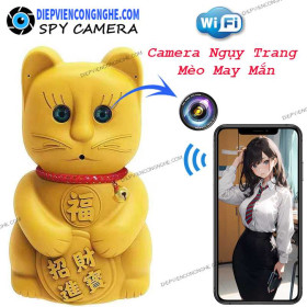 Camera Ngụy Trang Mèo May Mắn Wifi CAT455